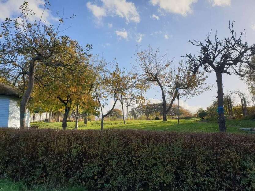 Grundstück zu verkaufen in Dersau 220.000 € 949 m²