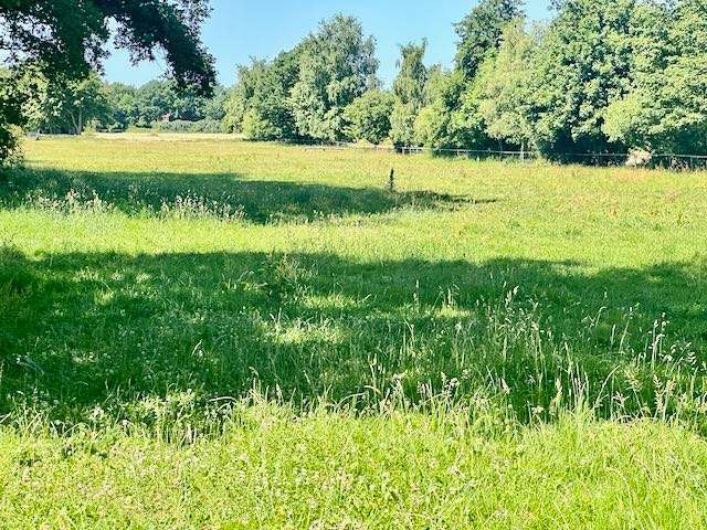 Grundstück Büdelsdorf - 80.000&euro; | Angebot:26889659