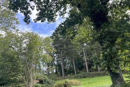 Grundstück zu verkaufen in Eckernförde 228.000 € 1001 m² zimmer