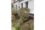 Etagenwohnung Kiel Südfriedhof - 4 Zimmer, 95 m&sup2;, 1.395&euro; | Angebot:25980966