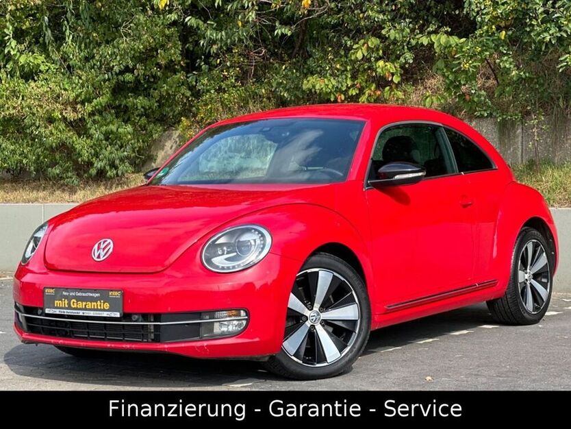 Beetle