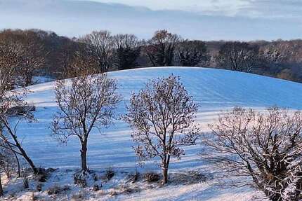 Wohnung zum Kaufen in Schwentinental 290.000 € 93 m² 4 zimmer