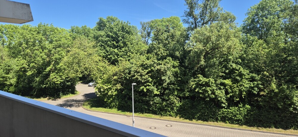 Eigentumswohnung am Zipfel vom Paradies mit Meeresluft - Etagenwohnung Schönberg (Holstein) / Holm Holm | Angebot:26993054