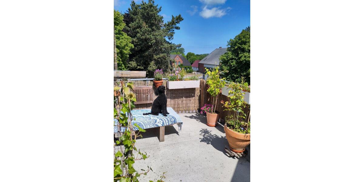 Dachgeschoßwohnung Schönberg (Holstein) - 4 Zimmer, 108 m&sup2;, 349.000&euro; | Angebot:26810954