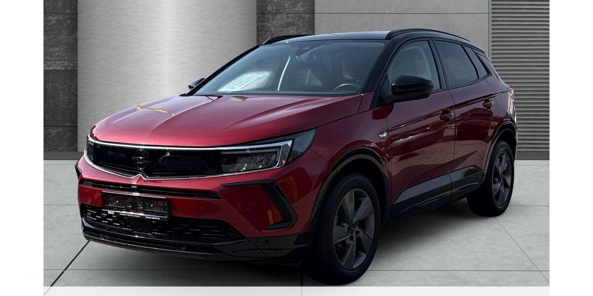 Opel Grandland (X) 23.785 km 21.580 &euro; Preetz 24211