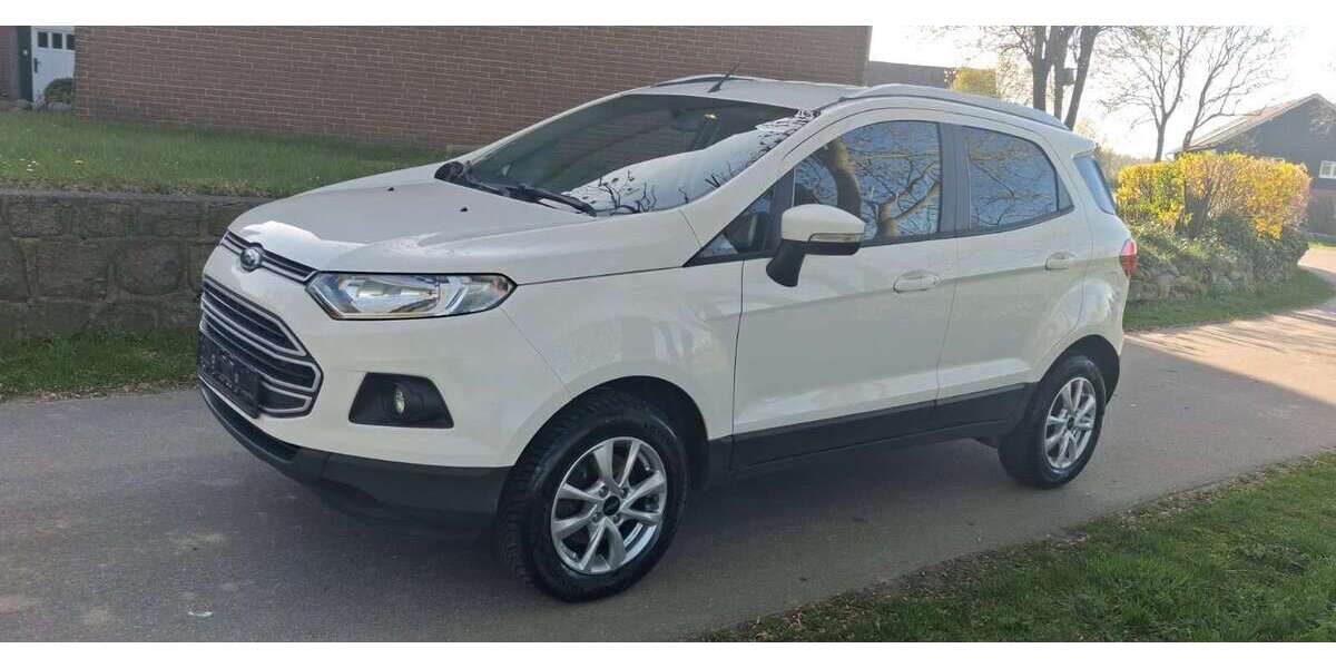 Ford EcoSport 129.169 km 6.699 &euro; Hoffeld 24582