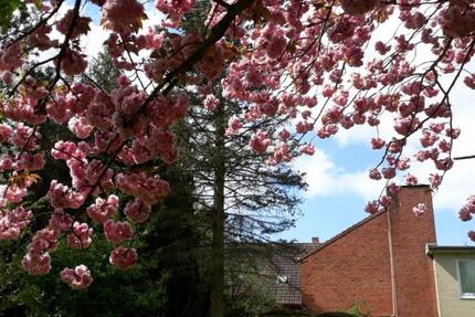 Provisionsfreie Immobilie zimmer