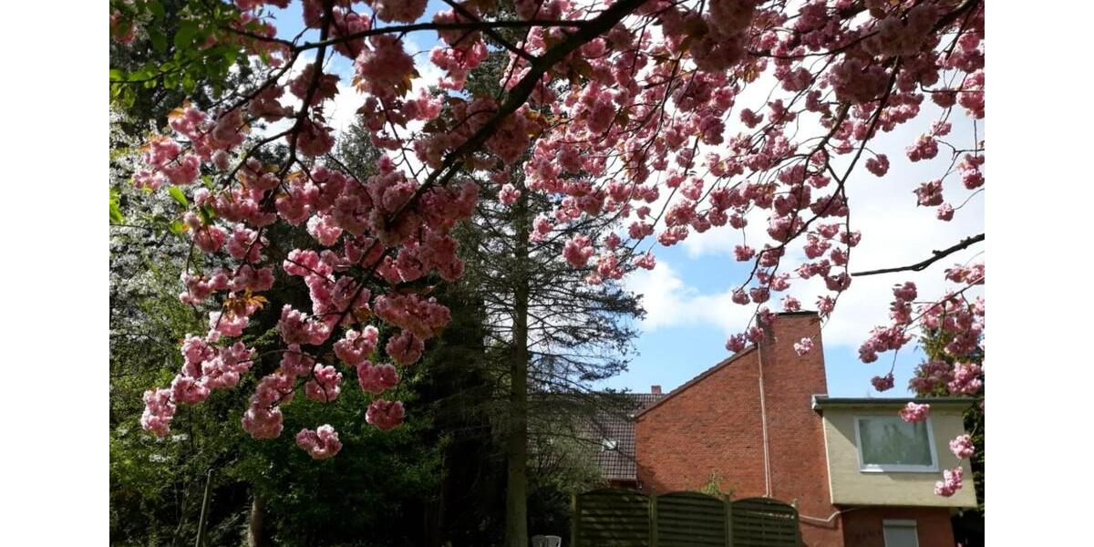 Provisionsfreie Immobilie zimmer