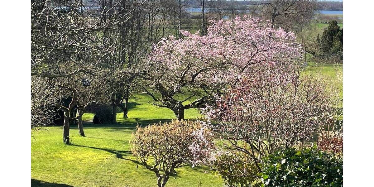 Grundstück Schellhorn - 995.000&euro; | Angebot:23985050