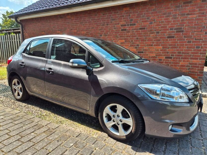 Auris
