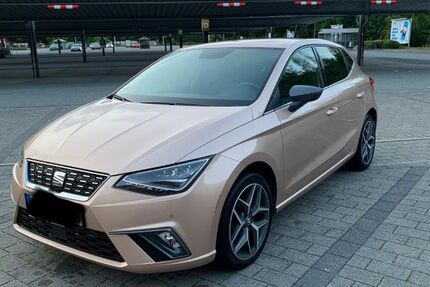 Seat Ibiza 92.148 km 16.400 &euro; Schellhorn 24211