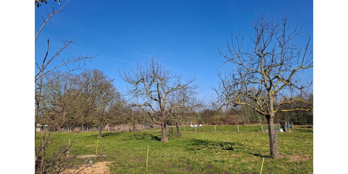 Terrassenwohnung Kiel Friedrichsort - 2 Zimmer, 60 m&sup2;, 349.000&euro; | Angebot:26044127