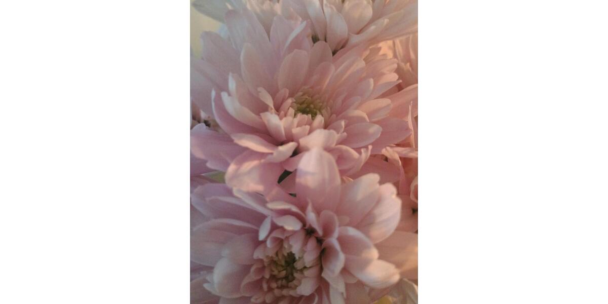 Eigentumswohnung im Zentrum von Neumünster zu verkaufen 2.5 zimmer