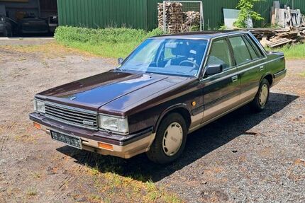 Nissan Laurel 201.000 km 6.500 &euro; Westensee 24529