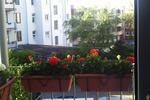 Etagenwohnung Kiel Friedrichsort - 2 Zimmer, 45 m&sup2;, 145.000&euro; | Angebot:20830212