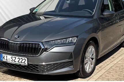 Skoda Octavia 8.000 km 33.980 &euro; Kiel 24106