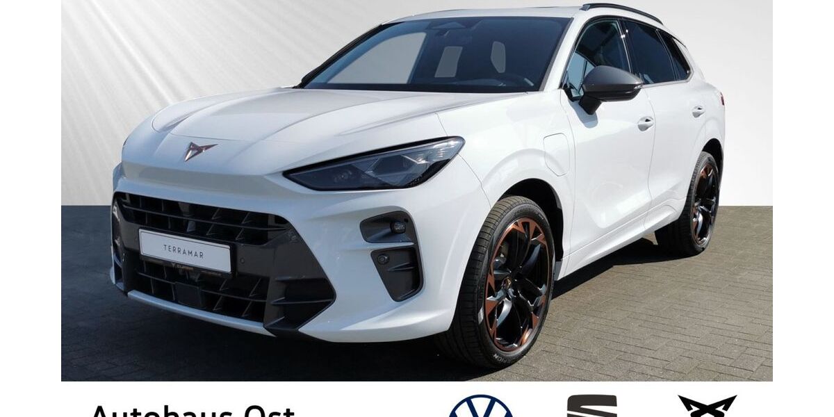 Cupra Terramar 18.900 km 44.880 &euro; Kiel 24148