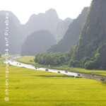 Klassiker der vietnamesischen Küche