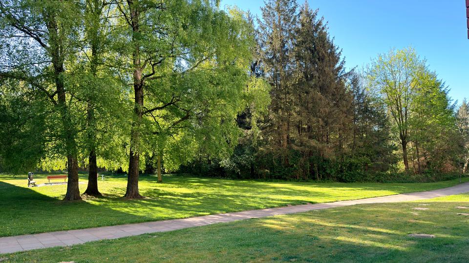 Etagenwohnung Neumünster Brachenfeld/Ruthenberg - 3 Zimmer, 67 m&sup2;, 650&euro; | Angebot:26407827