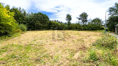 LETZTE BAULÜCKE AM WALDRAND