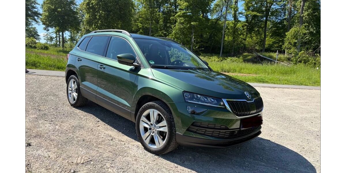 Skoda Karoq 135.617 km 19.950 &euro; Ascheberg 24326