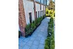 Terrassenwohnung Flintbek - 1.5 Zimmer, 50 m&sup2;, 550&euro; | Angebot:26368004