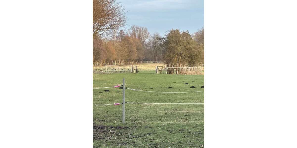Grundstück Büdelsdorf - 80.000&euro; | Angebot:26889659