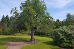 Einfamilienhaus Emkendorf - 3 Zimmer, 110 m&sup2;, 317.000&euro; | Angebot:27128369