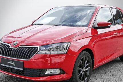 Skoda Fabia 54.000 km 14.890 &euro; Büdelsdorf 24782