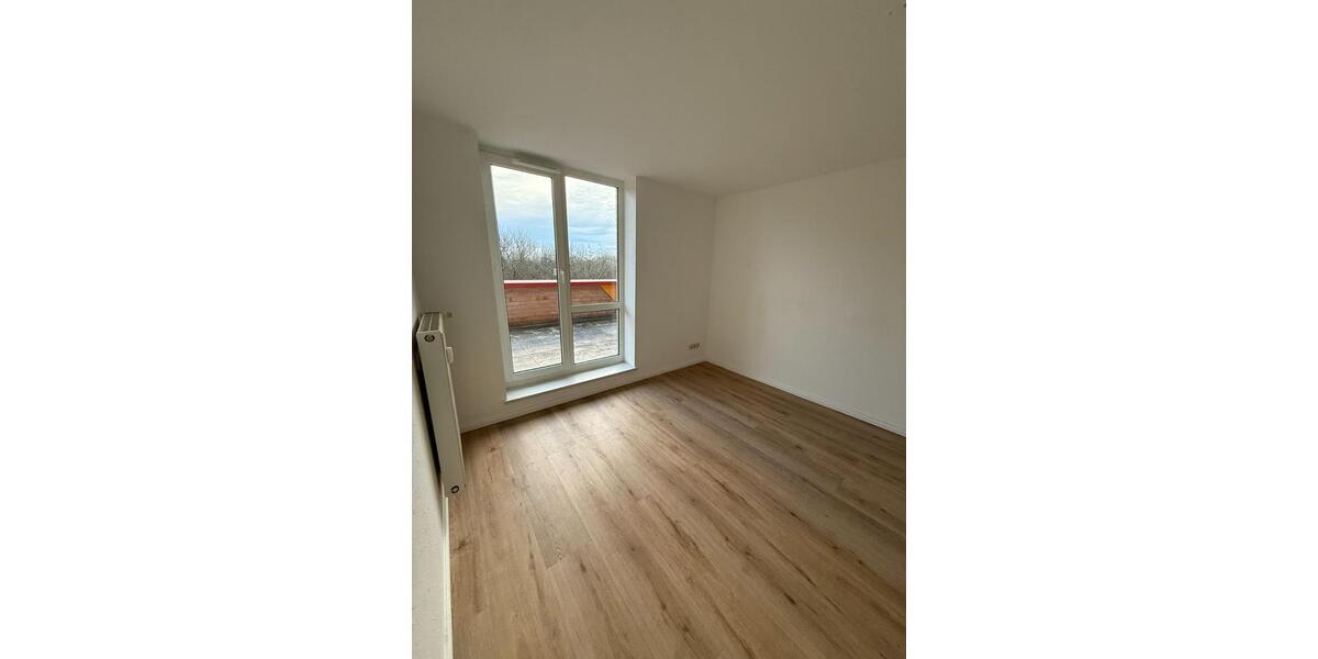 renovierte 2 Zi Whg mit neuer EBK und großer Dachterrasse in Heid 2 zimmer