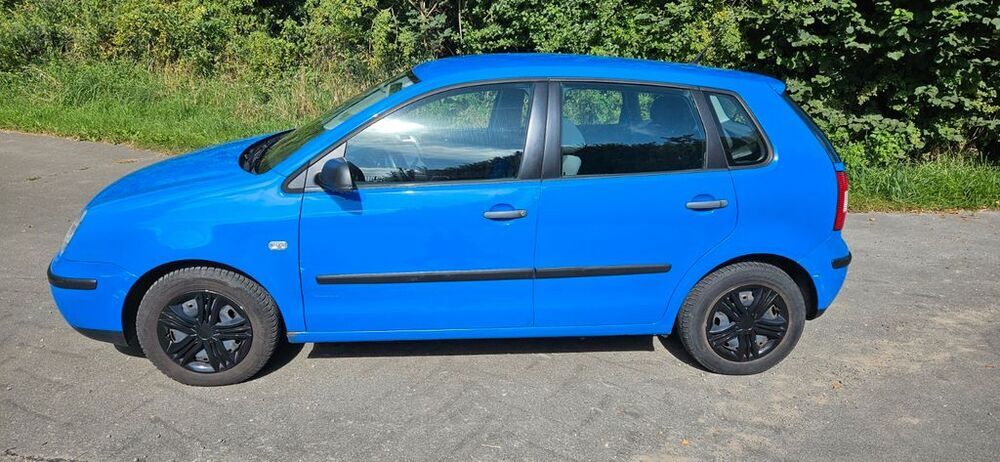 Polo