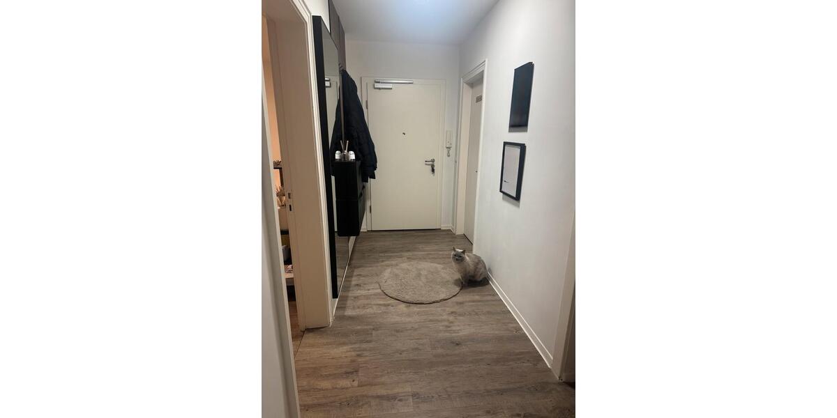 3 Zimmer Wohnung mit Balkon in Eckernförde zum 1.03! 3 zimmer