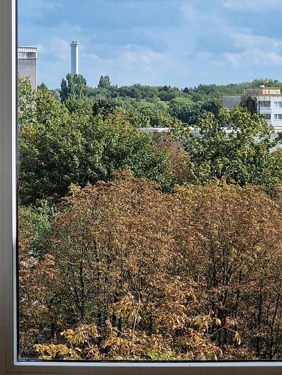 Wohnung zu verm. 94qm in 24109 Kiel