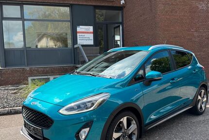 Ford Fiesta 193.294 km 6.100 &euro; Neumünster 24536