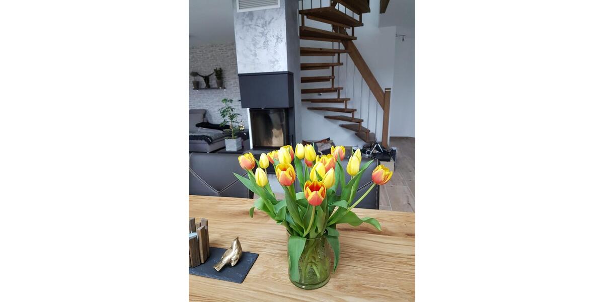 Einfamilienhaus Selent - 5 Zimmer, 165 m&sup2;, 650.000&euro; | Angebot:25614510