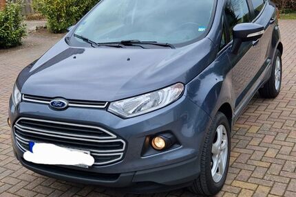 Ford EcoSport 118.300 km 6.600 &euro; Martensrade 24238