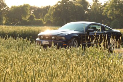 Ford Mustang 117.000 km 22.000 &euro; Ottendorf 24107