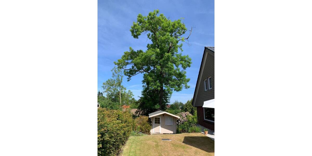 Einfamilienhaus Eckernförde - 6 Zimmer, 200 m&sup2;, 1.350.000&euro; | Angebot:26920569