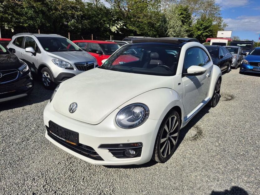 Beetle