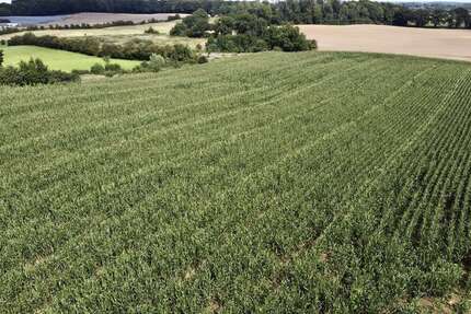 Grundstück in Felde 110.000 € 28300 m² zimmer