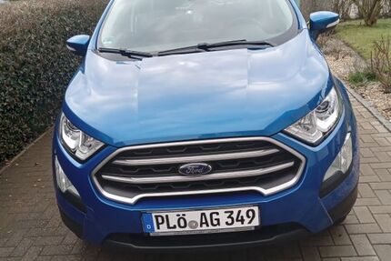 Ford EcoSport 50.000 km 13.300 &euro; Stein 24235