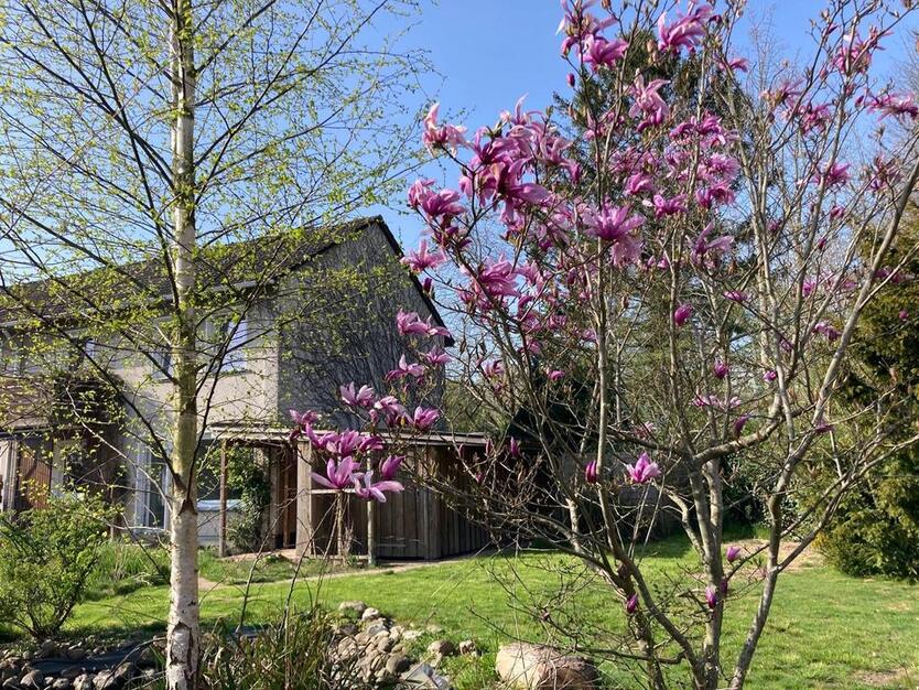 Neu renoviertes Reihenendhaus zur Zwischenmiete