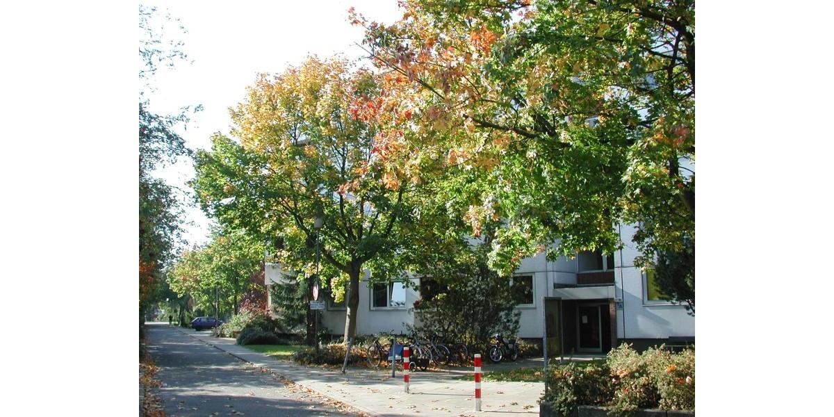 Etagenwohnung Kiel Schreventeich - 3 Zimmer, 83 m&sup2;, 731&euro; | Angebot:25228385