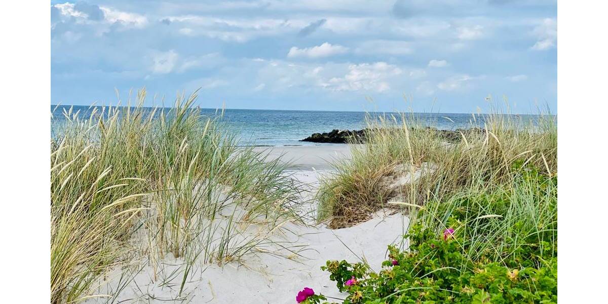 Mehrfamilienhaus, Wohnhaus Schönberg - 6 Zimmer, 140 m&sup2;, 349.000&euro; | Angebot:22506459