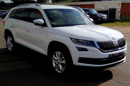 Skoda Kodiaq 144.513 km 18.999 &euro; Großharrie 24625