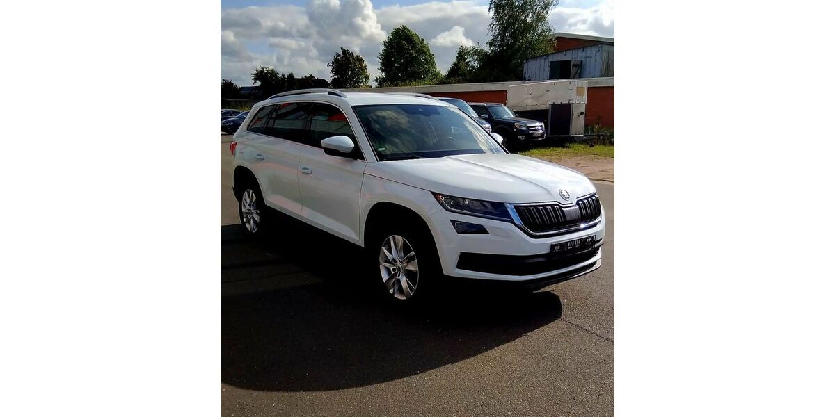 Skoda Kodiaq 144.513 km 18.999 &euro; Großharrie 24625
