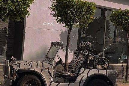 Suzuki LJ 94.000 km 4.490 &euro; mühbrook 24582