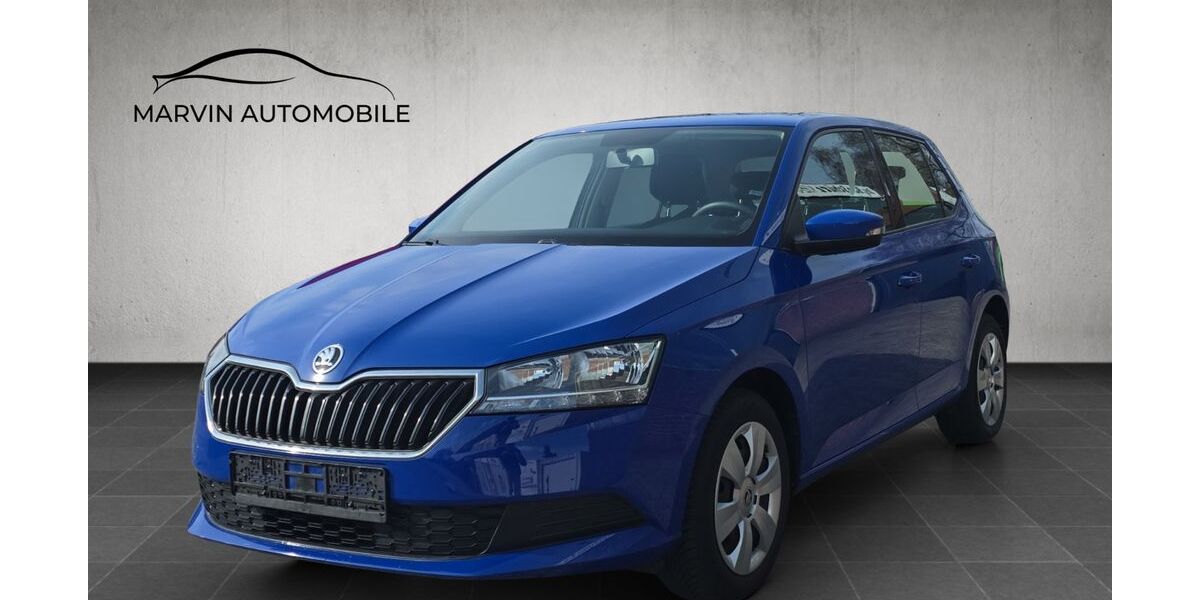 Skoda Fabia 65.479 km 9.480 &euro; Schellhorn 24211