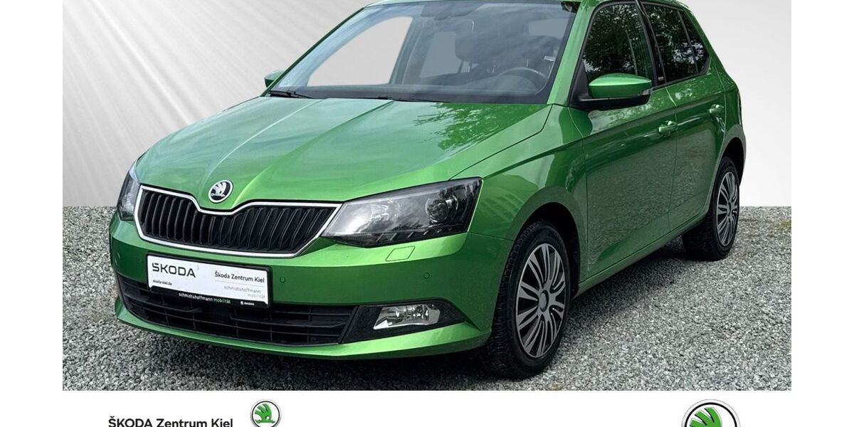 Skoda Fabia 99.800 km 9.380 &euro; Kiel 24106